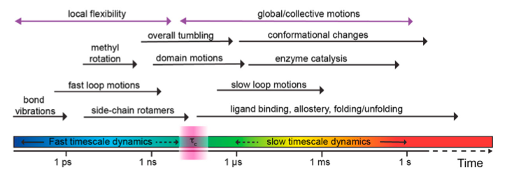 fig1