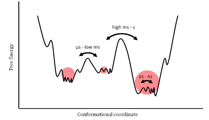 fig2